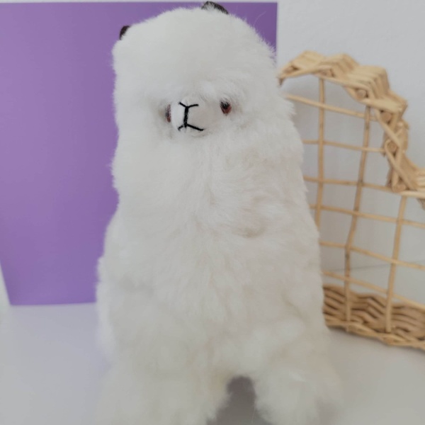 Alpaca Plush - White - Image 5