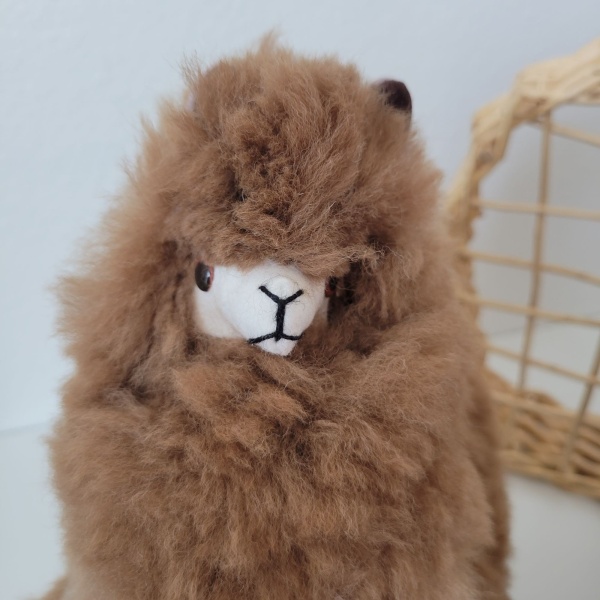 Alpaca Plush - Brown - Image 8